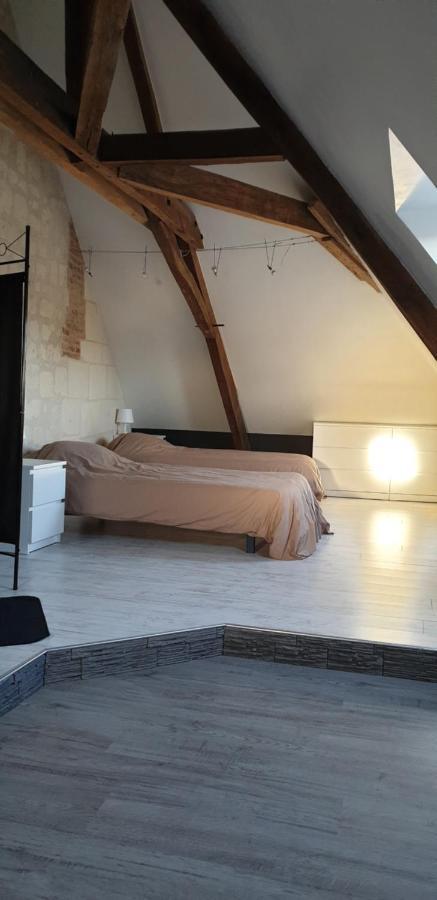 Bourgueil - Grand Appartement Proche Cnpe Chinon Esterno foto