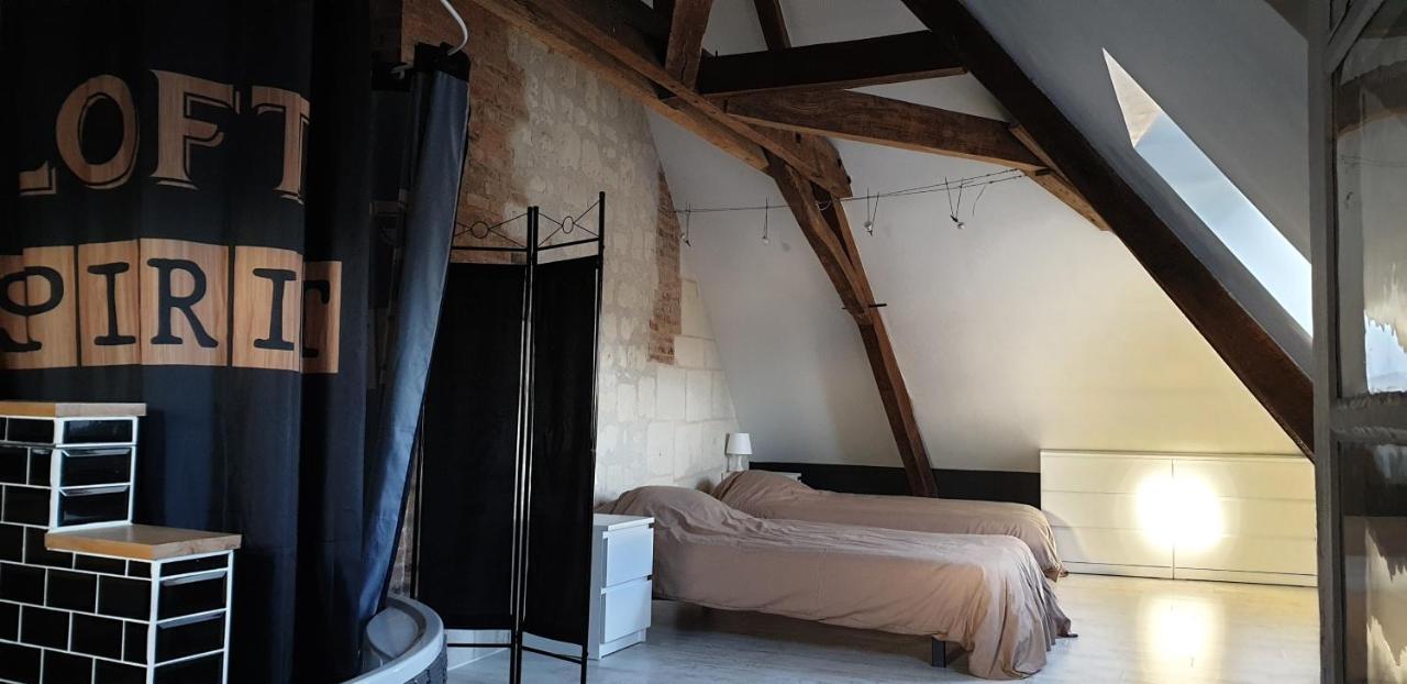 Bourgueil - Grand Appartement Proche Cnpe Chinon Esterno foto